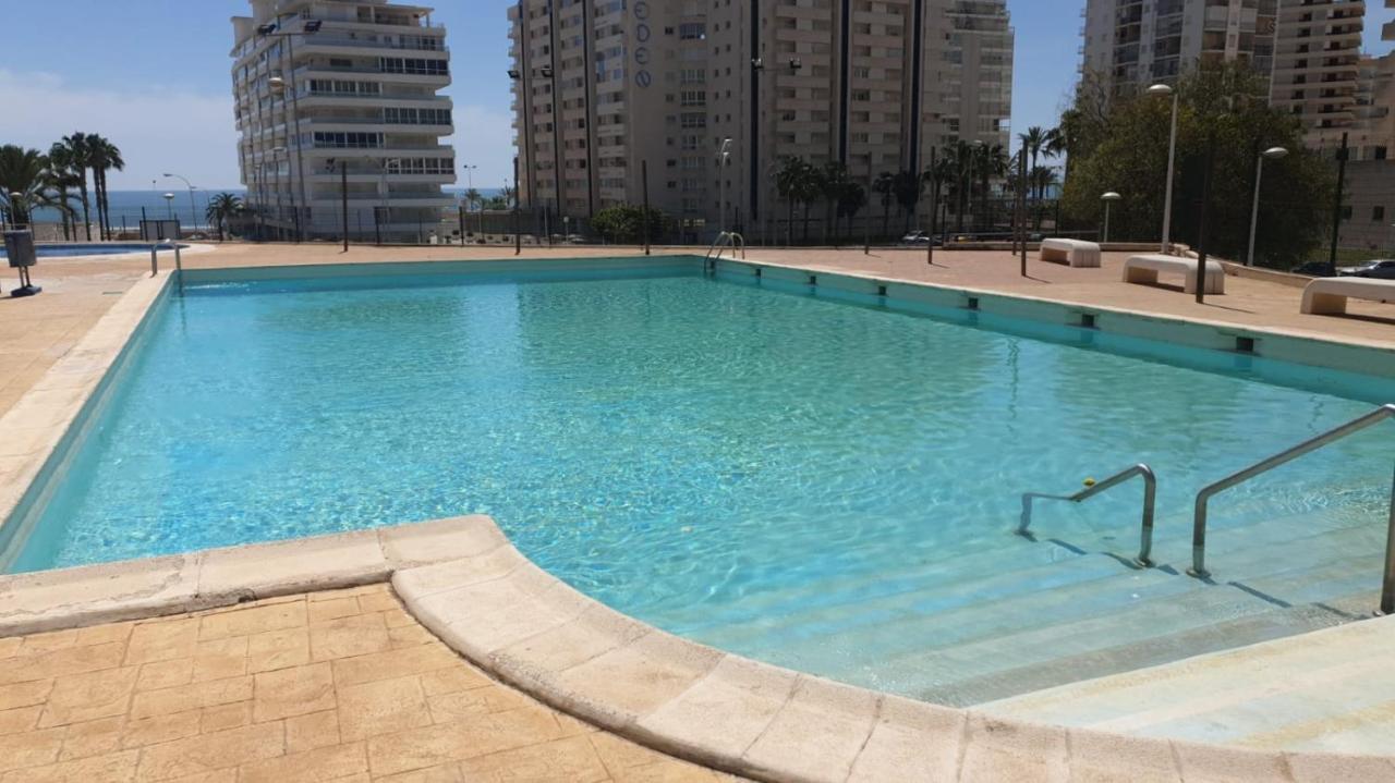 Herba Sana Cullera Bagian luar foto